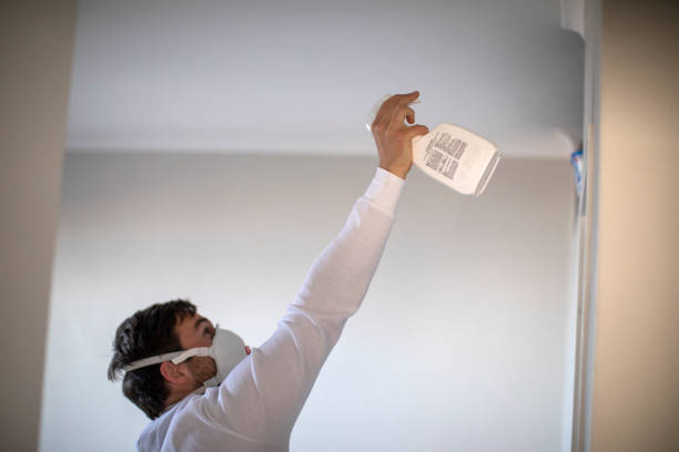 Best Industrial Mold Remediation in Petersburg, WV