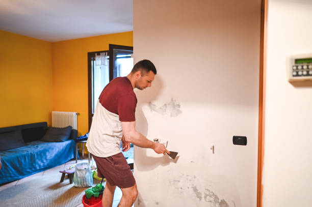 Best Mold Testing and Inspection Services in Petersburg, WV
